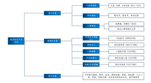 拆家哪家強？上海張江找微創——解碼醫療器械龍頭的市場突圍之路